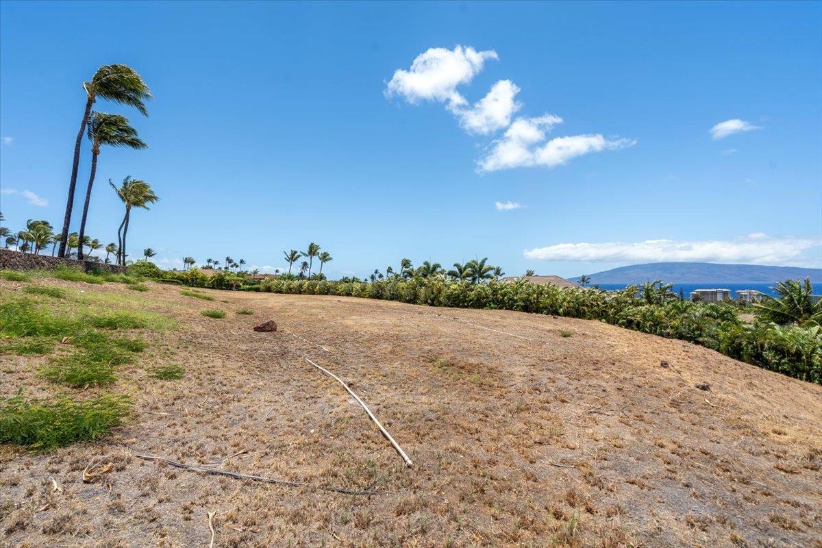 4 Anapuni Loop Lahaina, HI 96761 - Photo 20 of 44