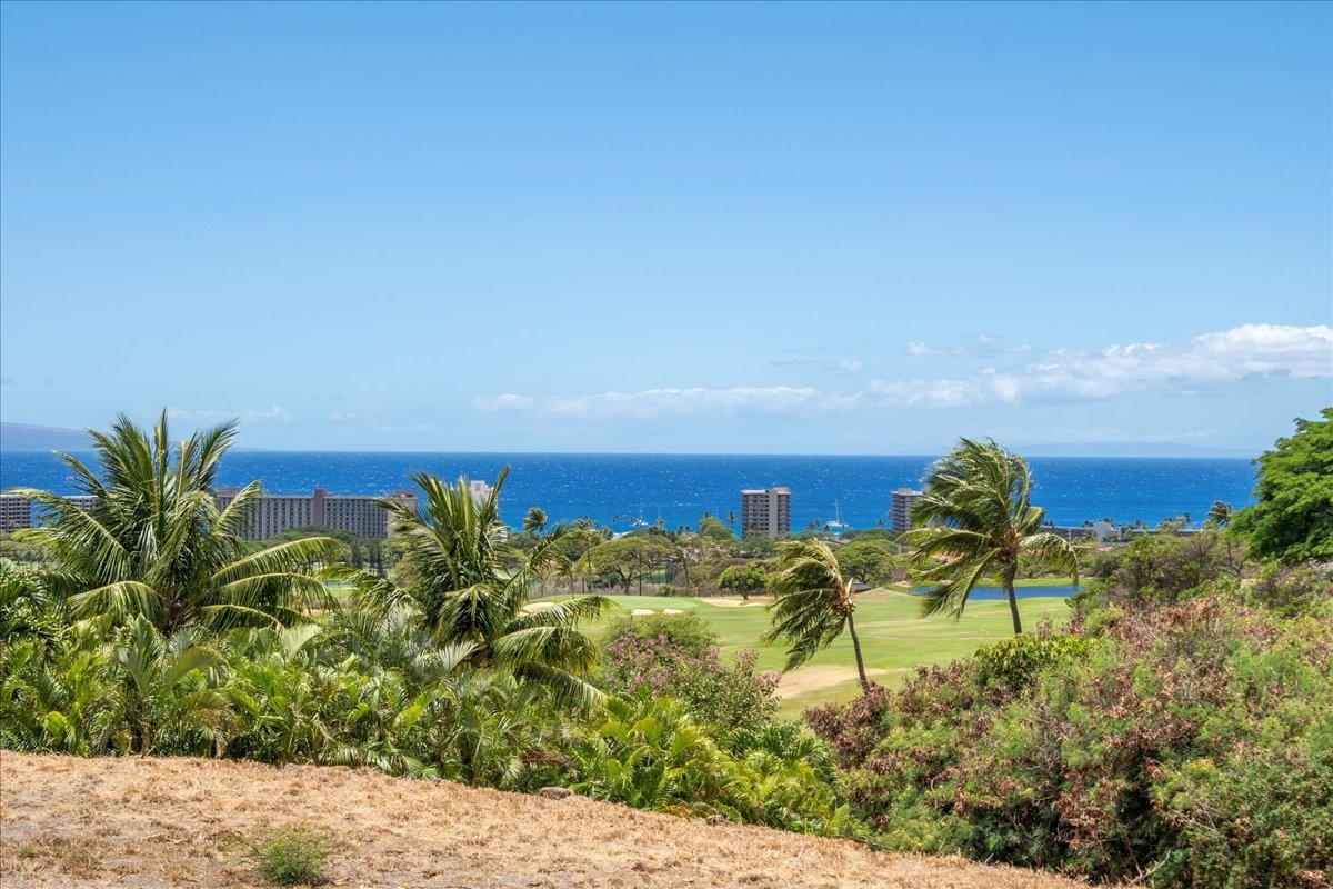 4 Anapuni Loop Lahaina, HI 96761 - Photo 2 of 44 a view of a yard