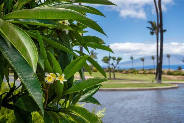 $1,399,000 | 4 Anapuni Loop, Lahaina, HI 96761