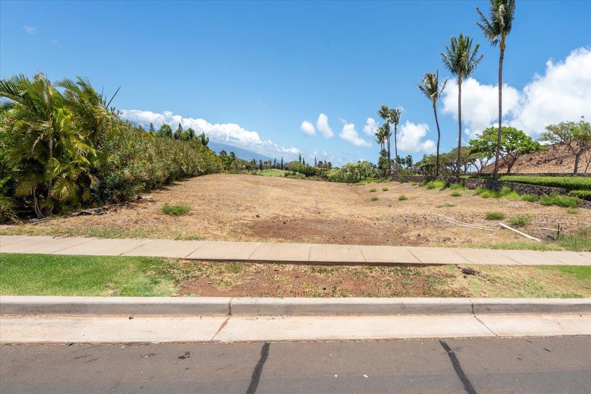 4 Anapuni Loop Lahaina, HI 96761 - Photo 8 of 44