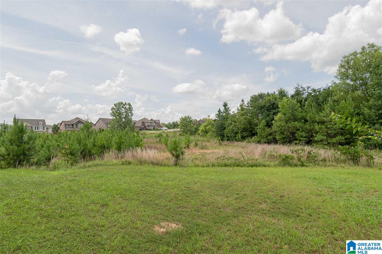787 Crider Road Alabaster, AL 35114 - Photo 37 of 38