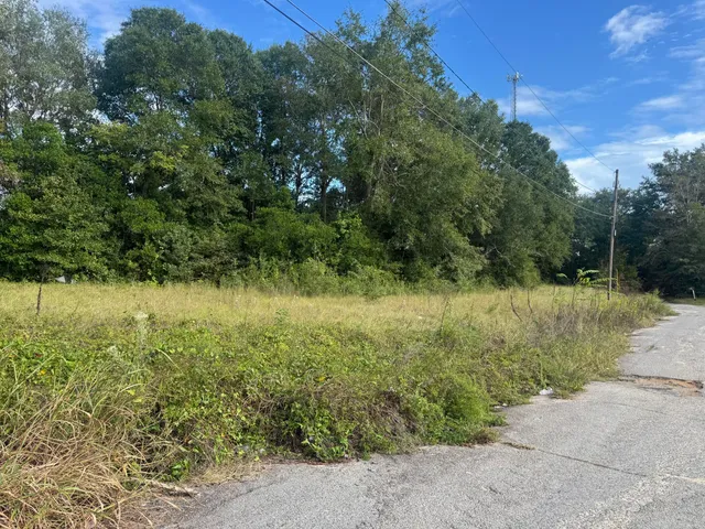 $11,000 | 0 Railroad Avenue, Waynesboro, GA 30830