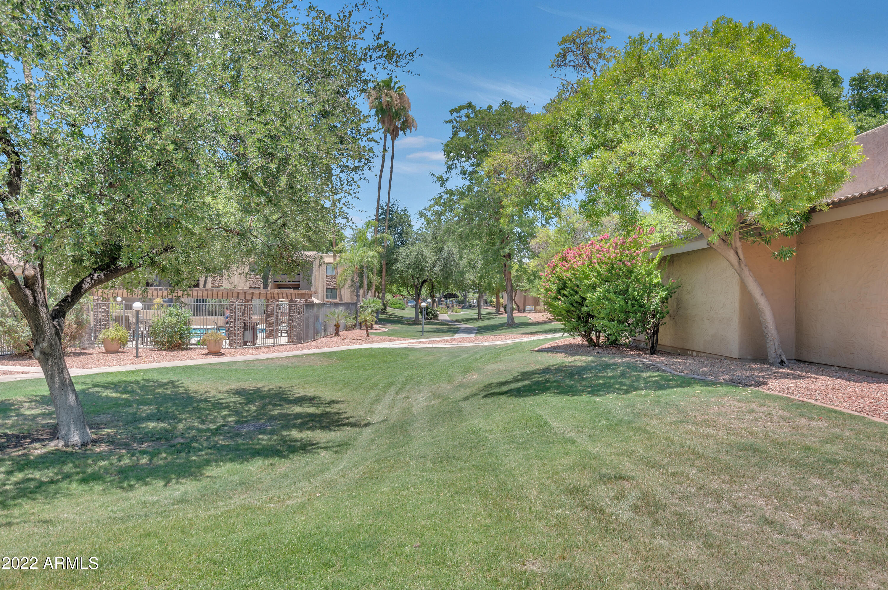 3825 East Camelback Road, Unit 262 Phoenix, AZ 85018 - Photo 3 of 37 Large Green belts