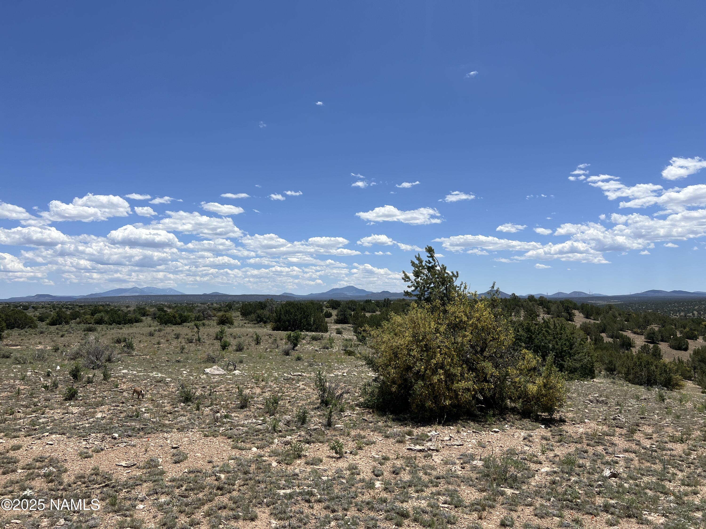 8834 Northstar Road Williams, AZ 86046 - Photo 28 of 33 IMG_5414