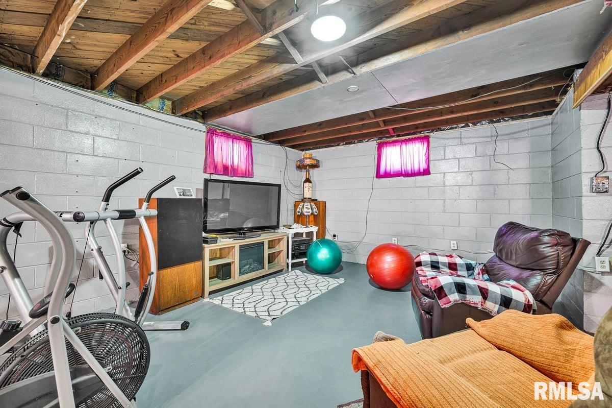 116 Jibben Street Green Valley, IL 61534 - Photo 30 of 49