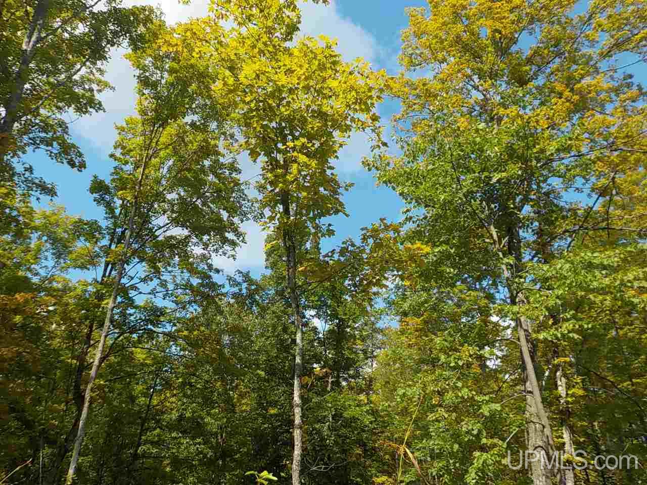 80-ac Mcclaren Road Crystal Falls, MI 49920 - Photo 27 of 27