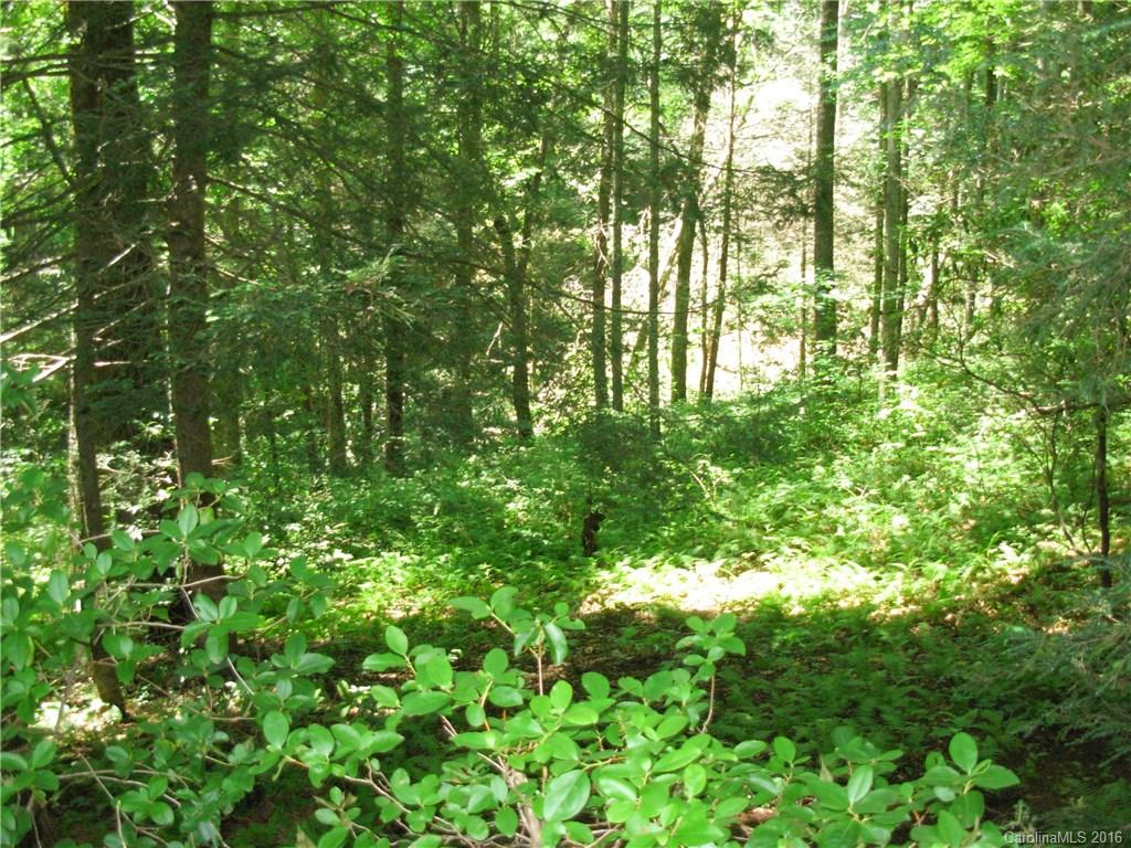 8 R Leaning Tree Road, Unit 8R Sapphire, NC 28774 - Photo 3 of 3 Gallery Image 3