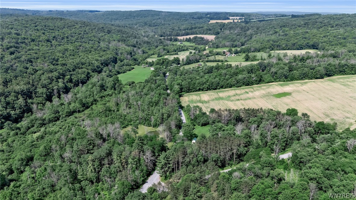 7749 Crabb Hollow Road New Hudson, NY 14717 - Photo 49 of 50