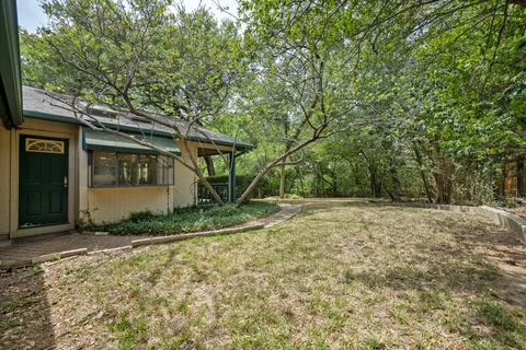 a backyard of a house with lots of plants and large tree