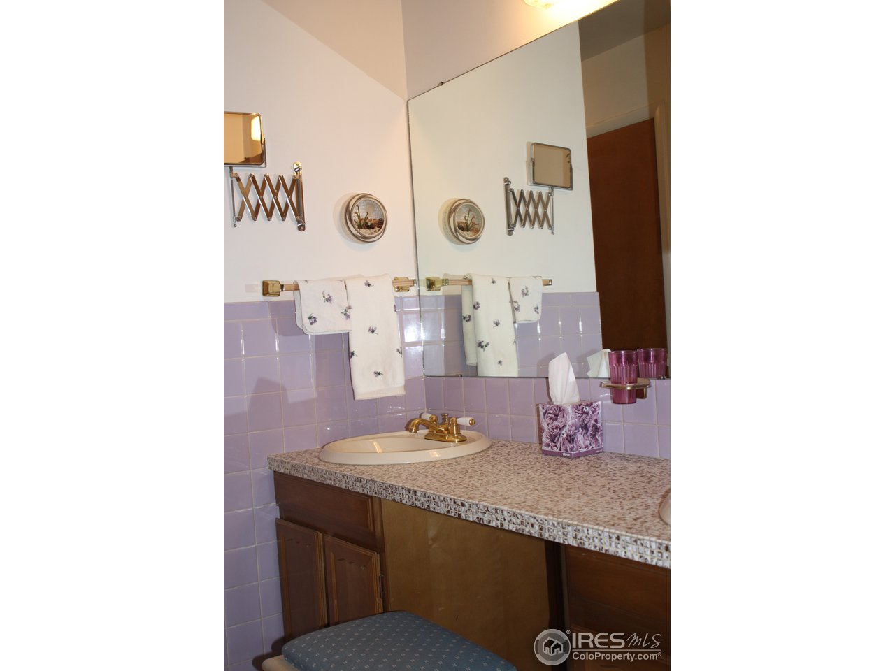 413 Princeton Road Fort Collins, CO 80525 - Photo 8 of 14 Upper Level Bath
