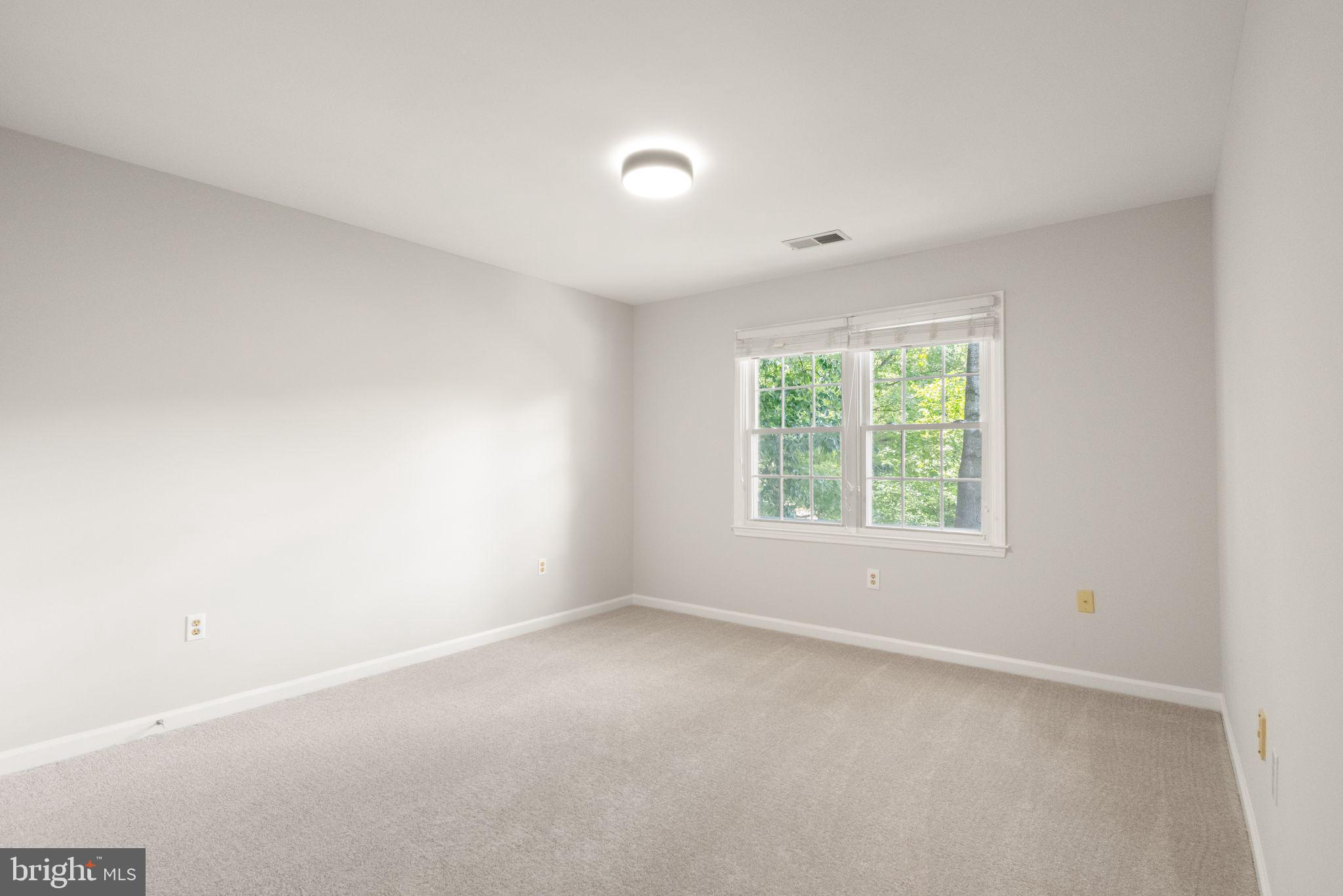 10134 Red Spruce Road Fairfax, VA 22032 - Photo 33 of 48