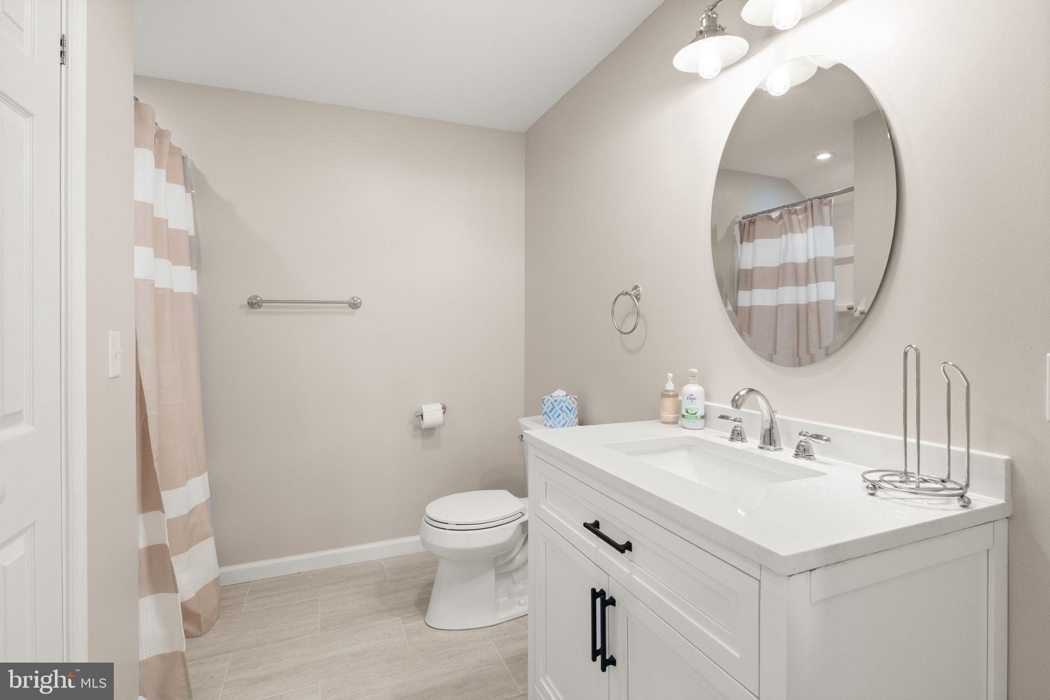 10134 Red Spruce Road Fairfax, VA 22032 - Photo 40 of 48 Full bath in basement