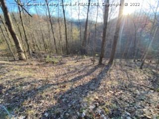 1125 Tariff Road Left Hand, WV 25251 - Photo 35 of 49 Gallery Image 35