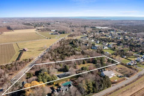 a view of a yard with plants