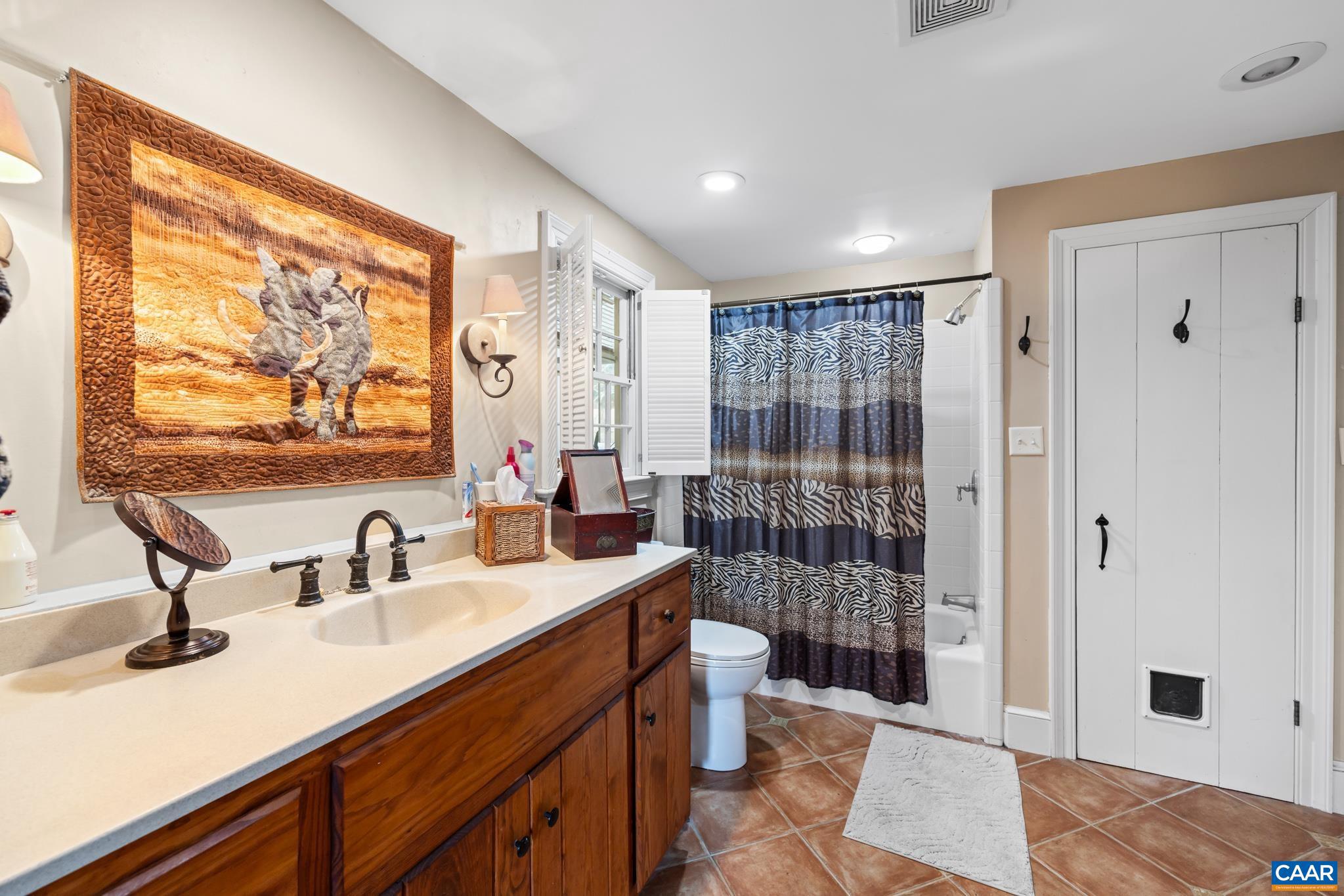 1128 Beaverdam Road Keswick, VA 22947 - Photo 49 of 74 a bathroom with a sink double vanity and a shower
