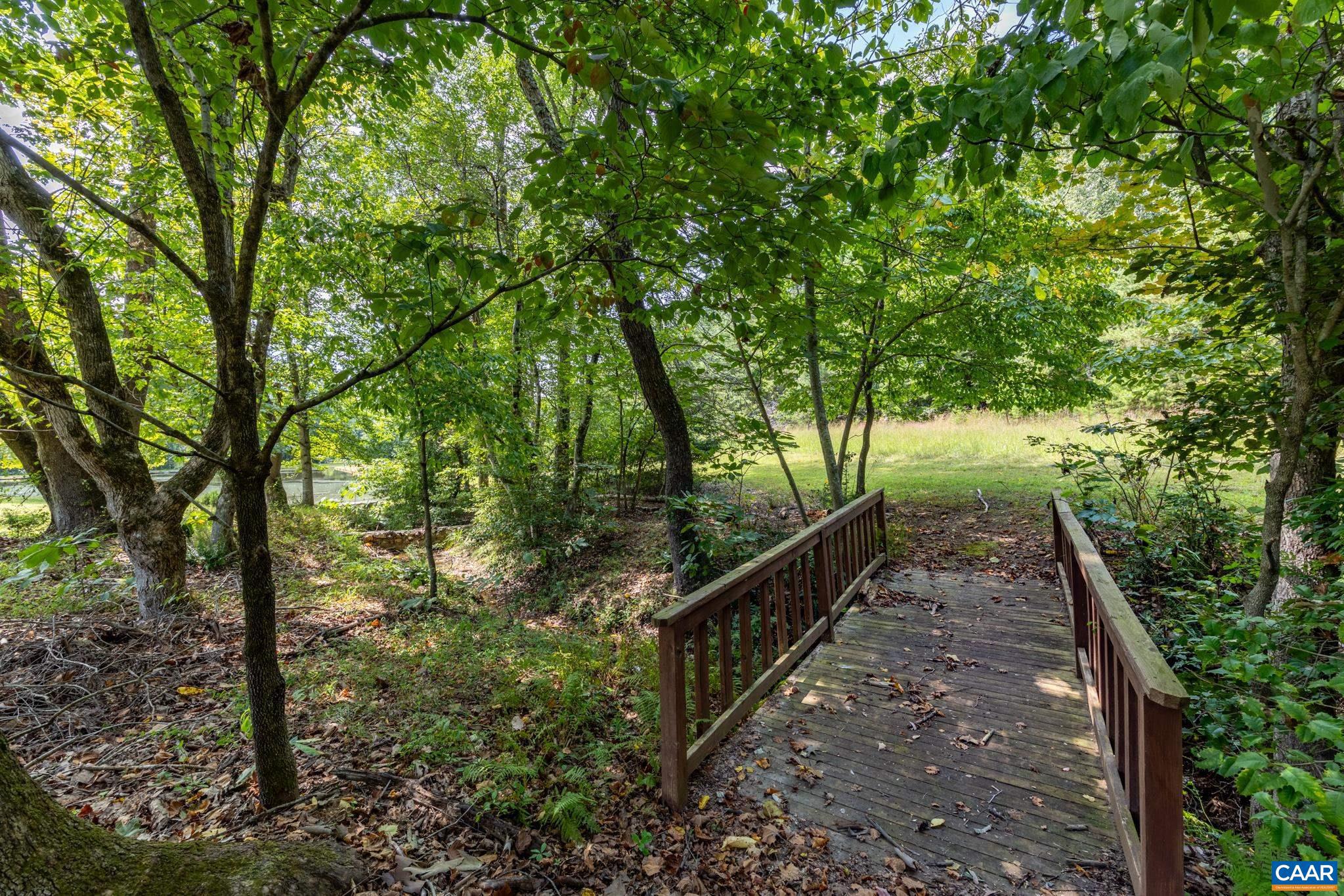 1128 Beaverdam Road Keswick, VA 22947 - Photo 71 of 74 a view of a yard with large trees