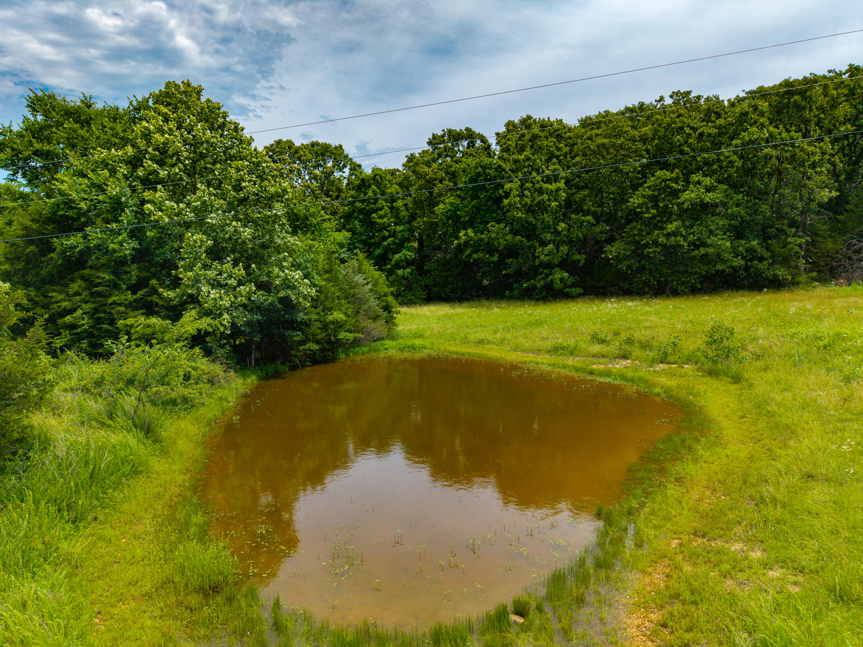 3675 Persimmon Road Grovespring, MO 65662 - Photo 5 of 78 Persimmon Rd-5