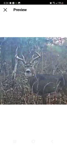 $94,900 | Parcel A Sayles Road, Ionia, MI 48846