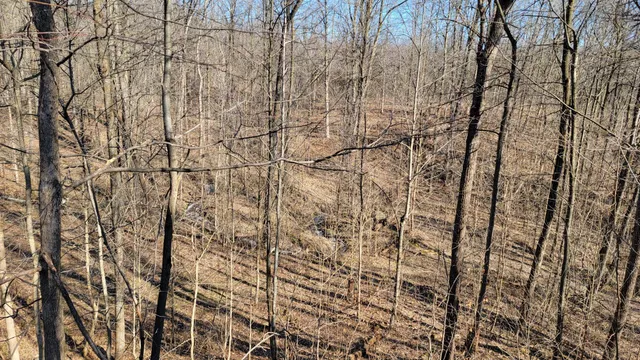 $94,900 | Parcel A Sayles Road, Ionia, MI 48846