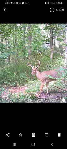 $94,900 | Parcel A Sayles Road, Ionia, MI 48846