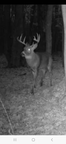 $94,900 | Parcel A Sayles Road, Ionia, MI 48846