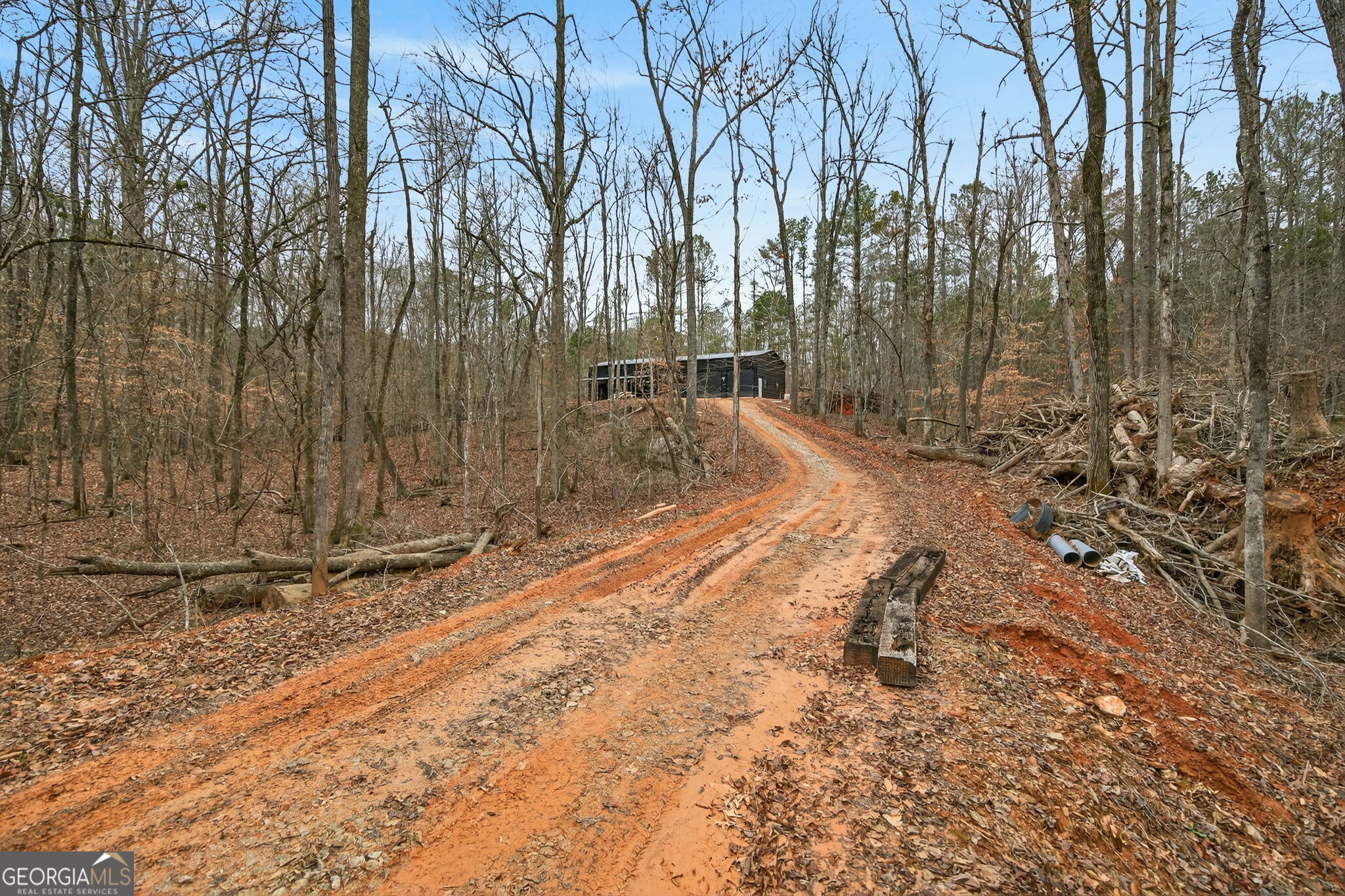 Tract 1 County Road 408 Heflin, AL 36264 - Photo 11 of 21 a view of a backyard of the house