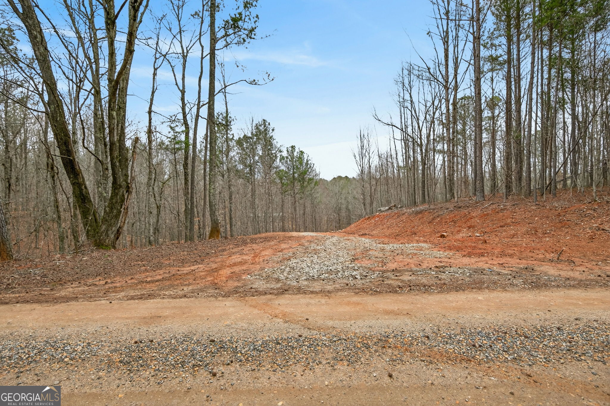 Tract 1 County Road 408 Heflin, AL 36264 - Photo 12 of 21 a backyard of a house with trees