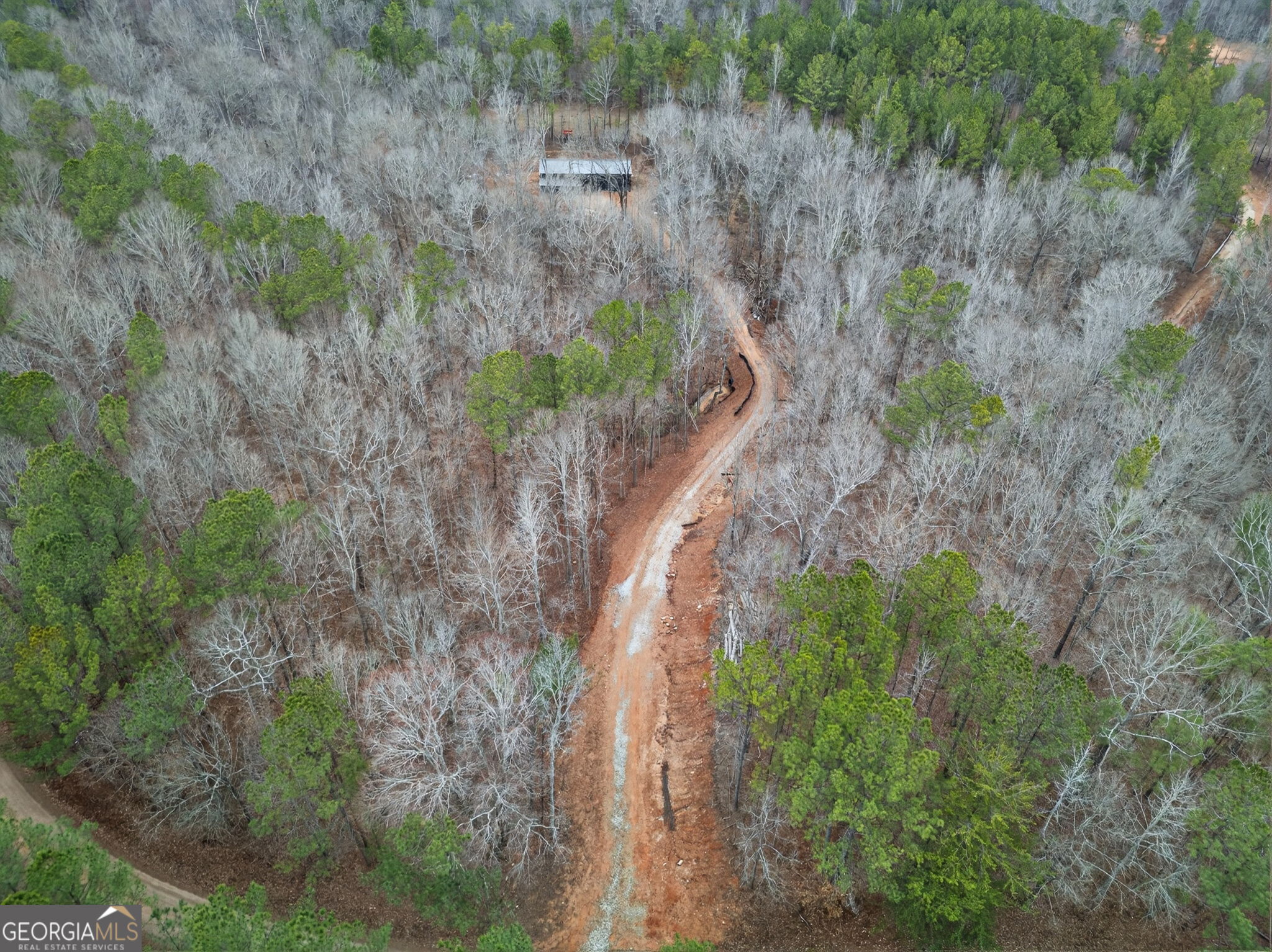 Tract 1 County Road 408 Heflin, AL 36264 - Photo 14 of 21 a view of a forest with a forest