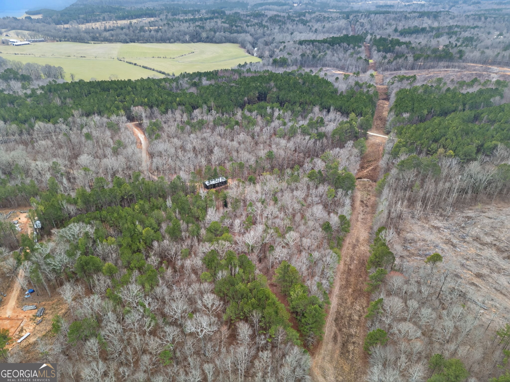 Tract 1 County Road 408 Heflin, AL 36264 - Photo 17 of 21 a view of a lake with lots of trees