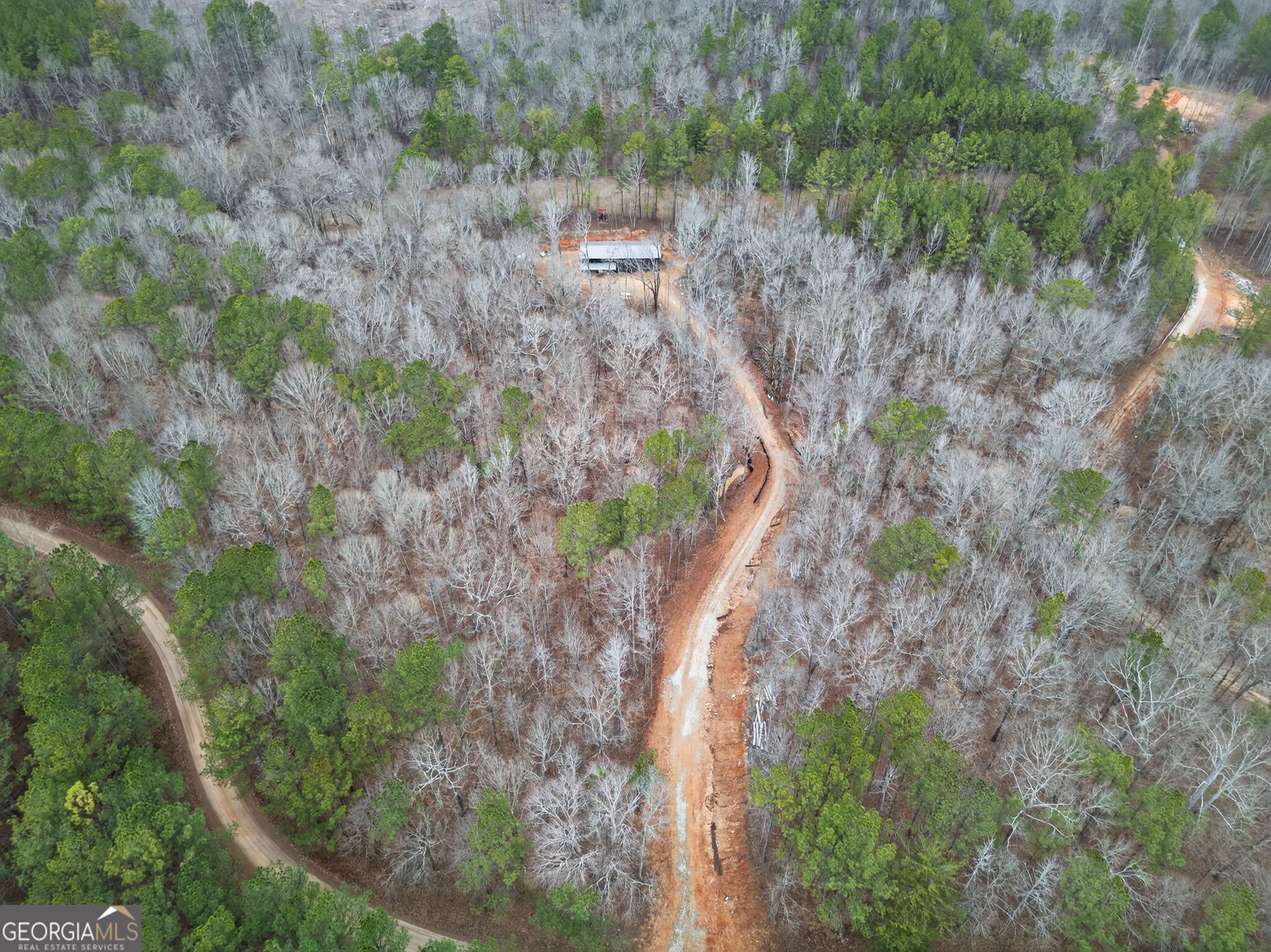Tract 1 County Road 408 Heflin, AL 36264 - Photo 18 of 21 a view of a forest with a tree