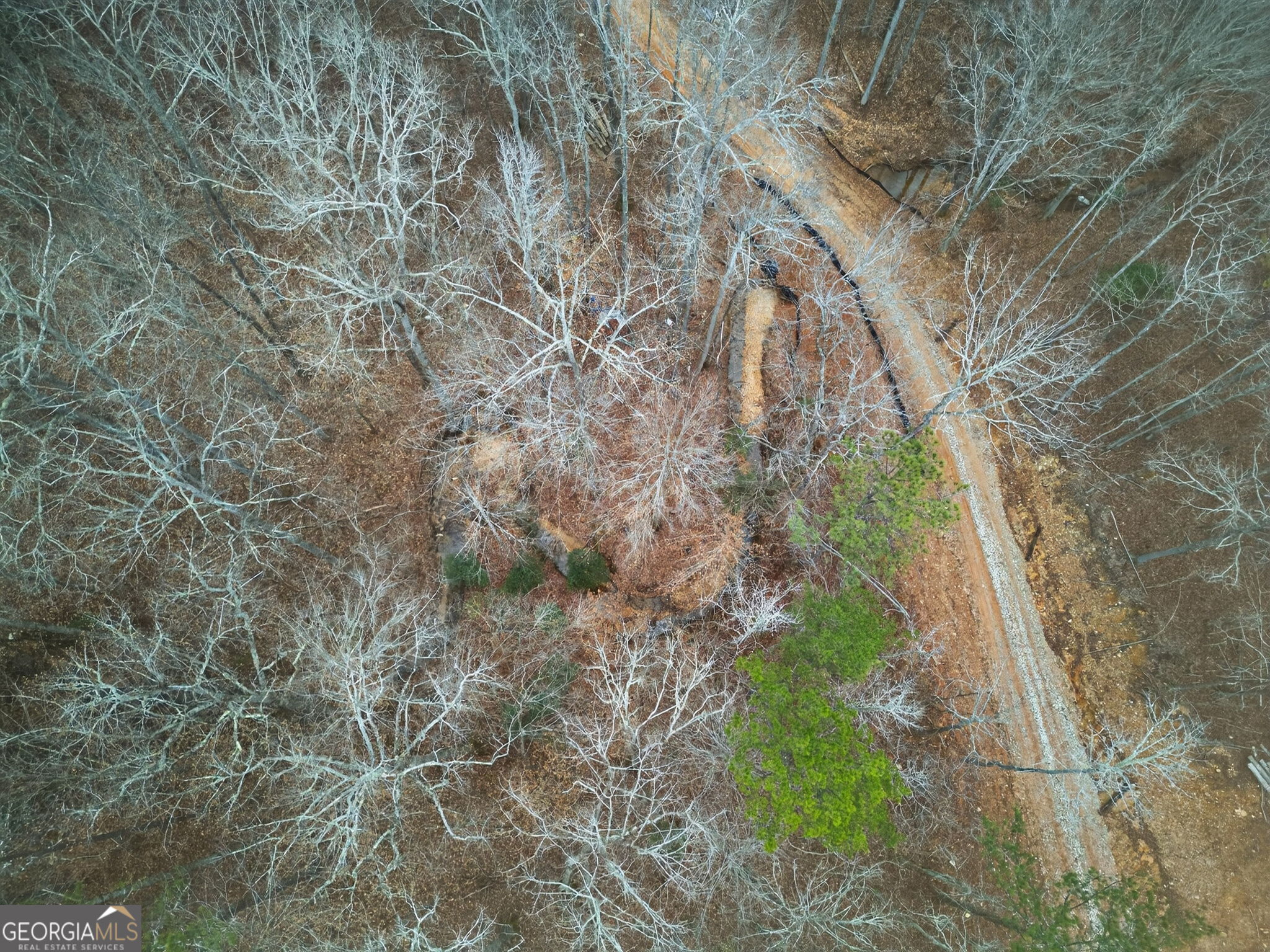 Tract 1 County Road 408 Heflin, AL 36264 - Photo 19 of 21