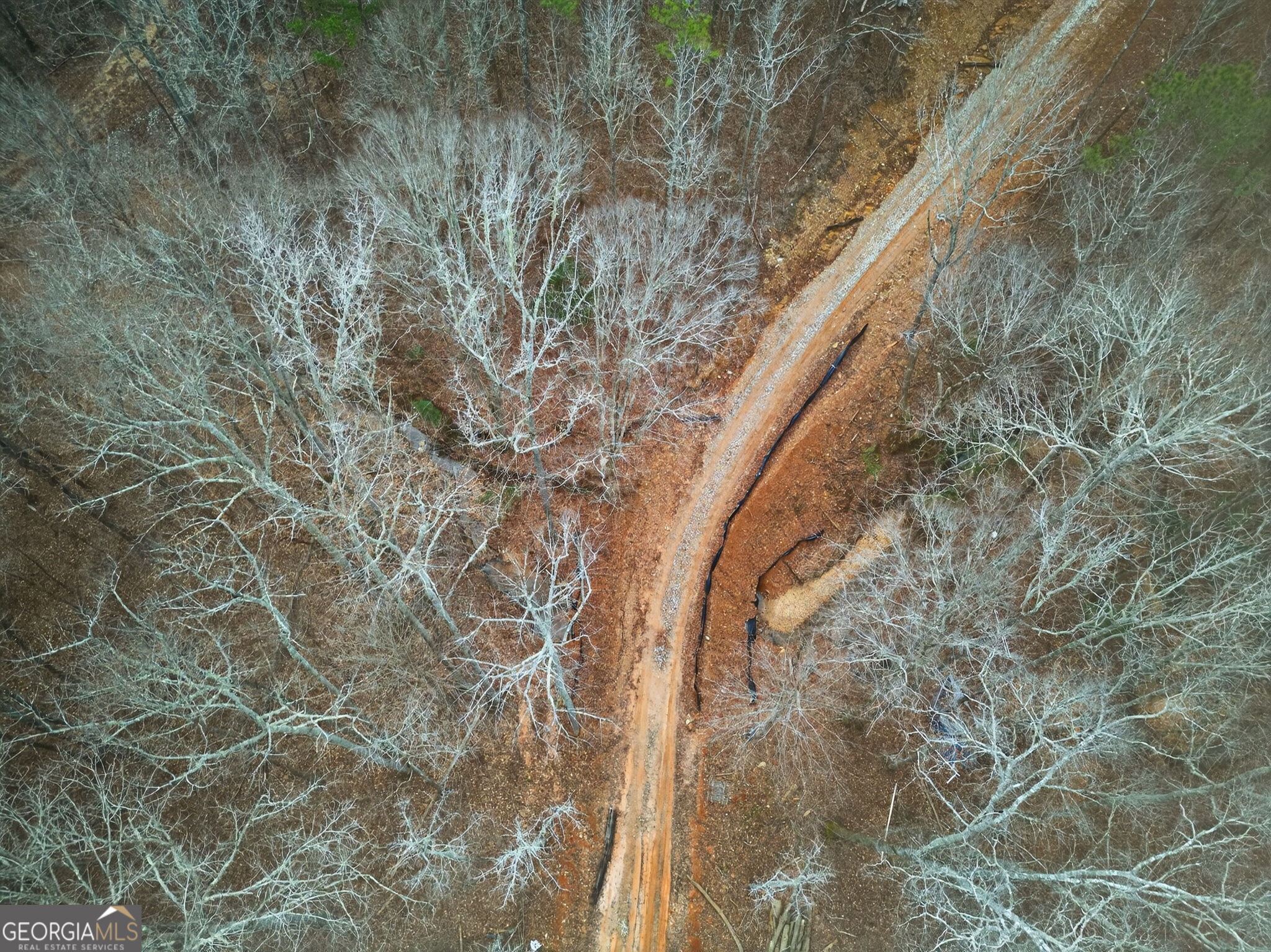 Tract 1 County Road 408 Heflin, AL 36264 - Photo 21 of 21 a close up of a wall