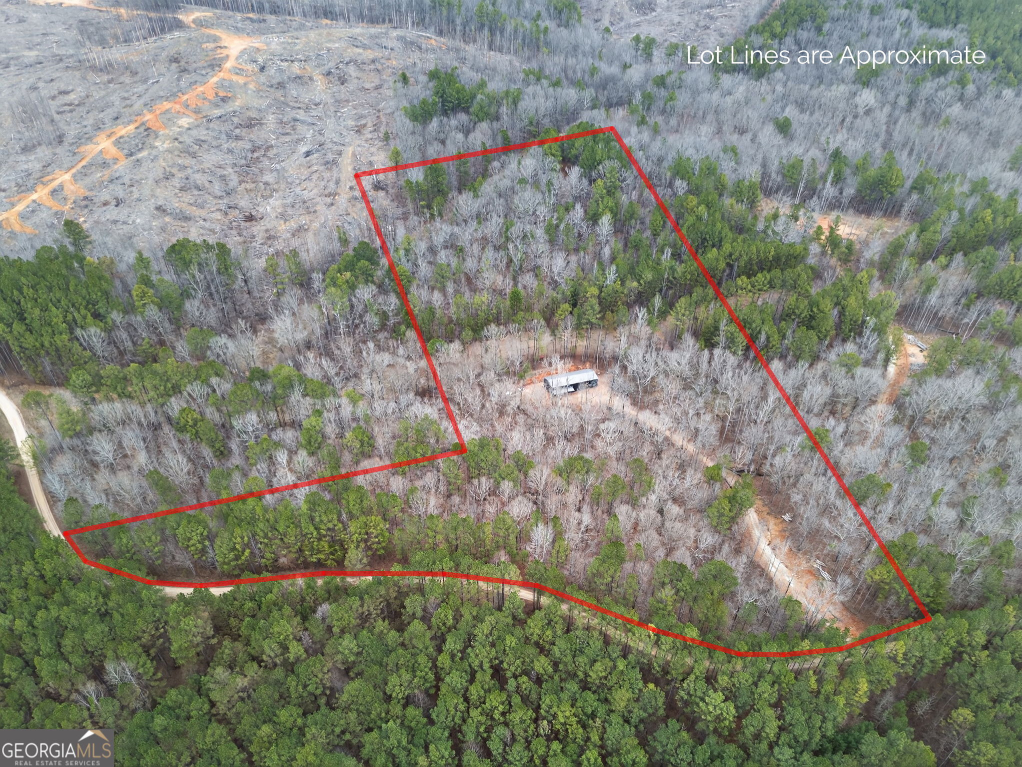 Tract 1 County Road 408 Heflin, AL 36264 - Photo 7 of 21 a view of a back yard