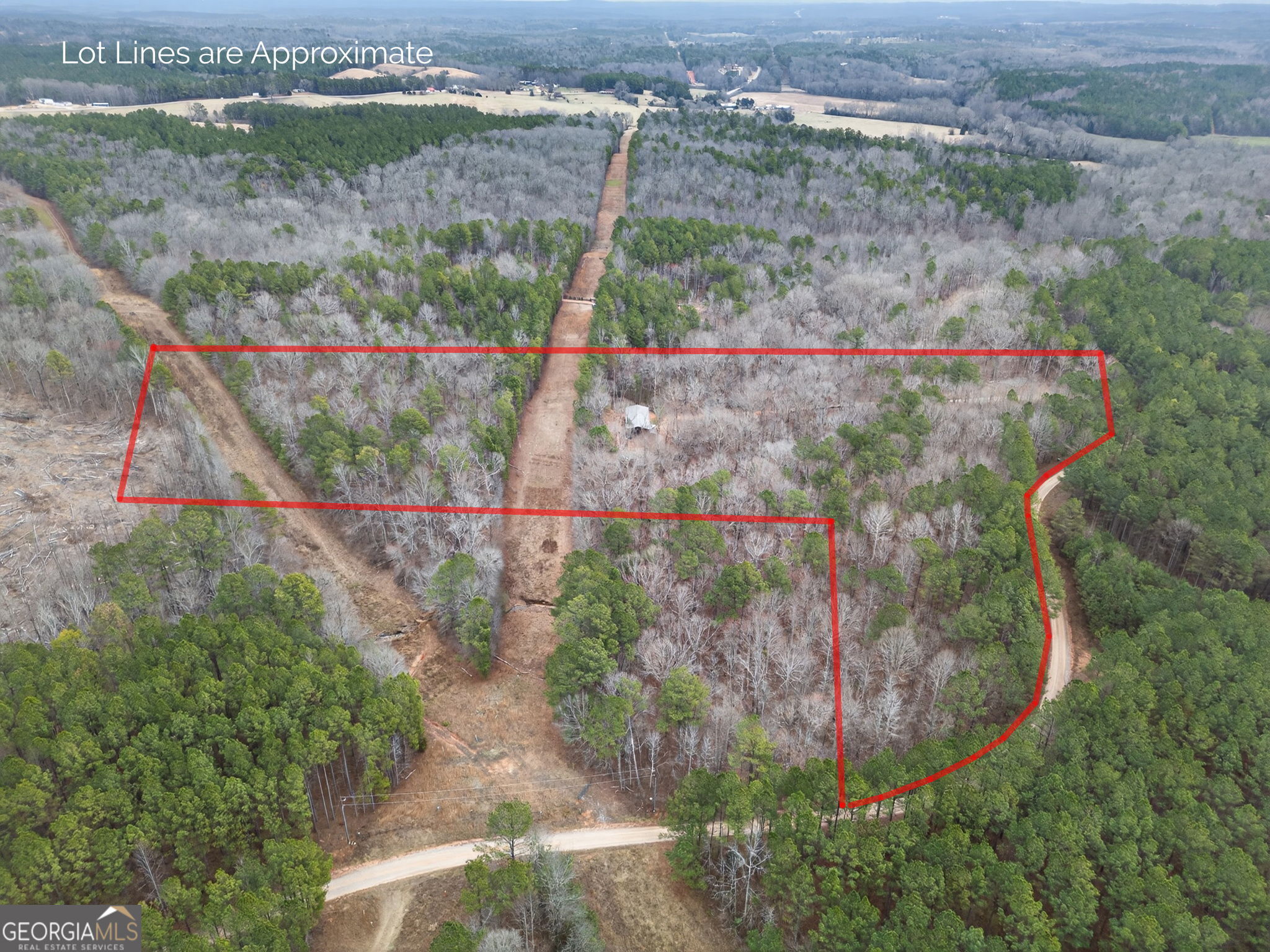 Tract 1 County Road 408 Heflin, AL 36264 - Photo 8 of 21