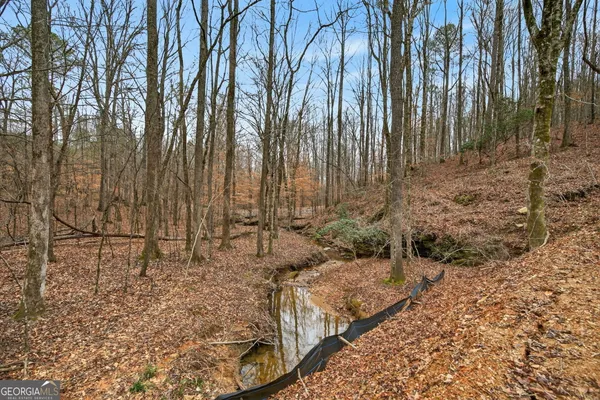a view of a backyard of the house