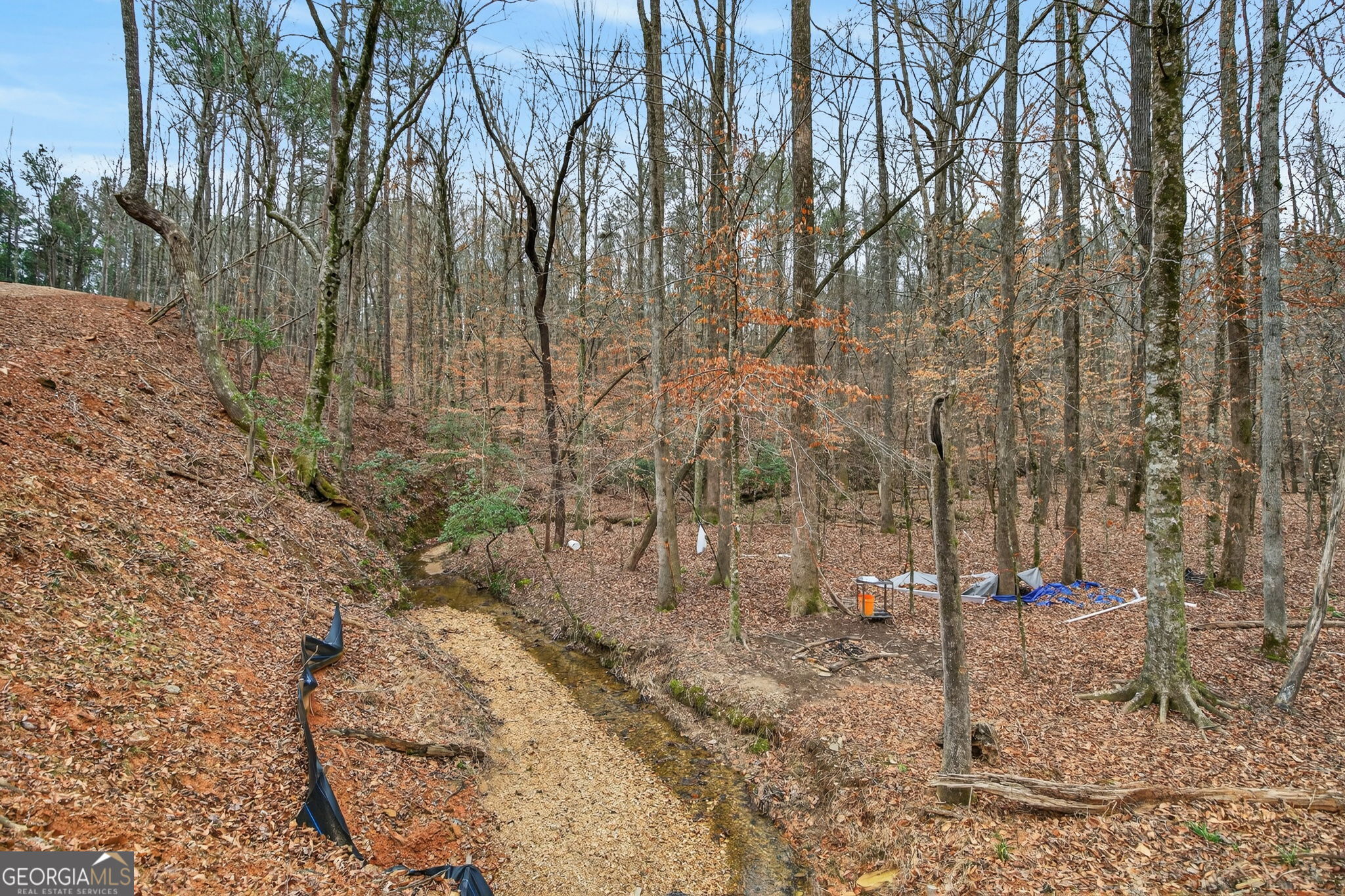 Tract 1 County Road 408 Heflin, AL 36264 - Photo 10 of 21 a view of a backyard of the house
