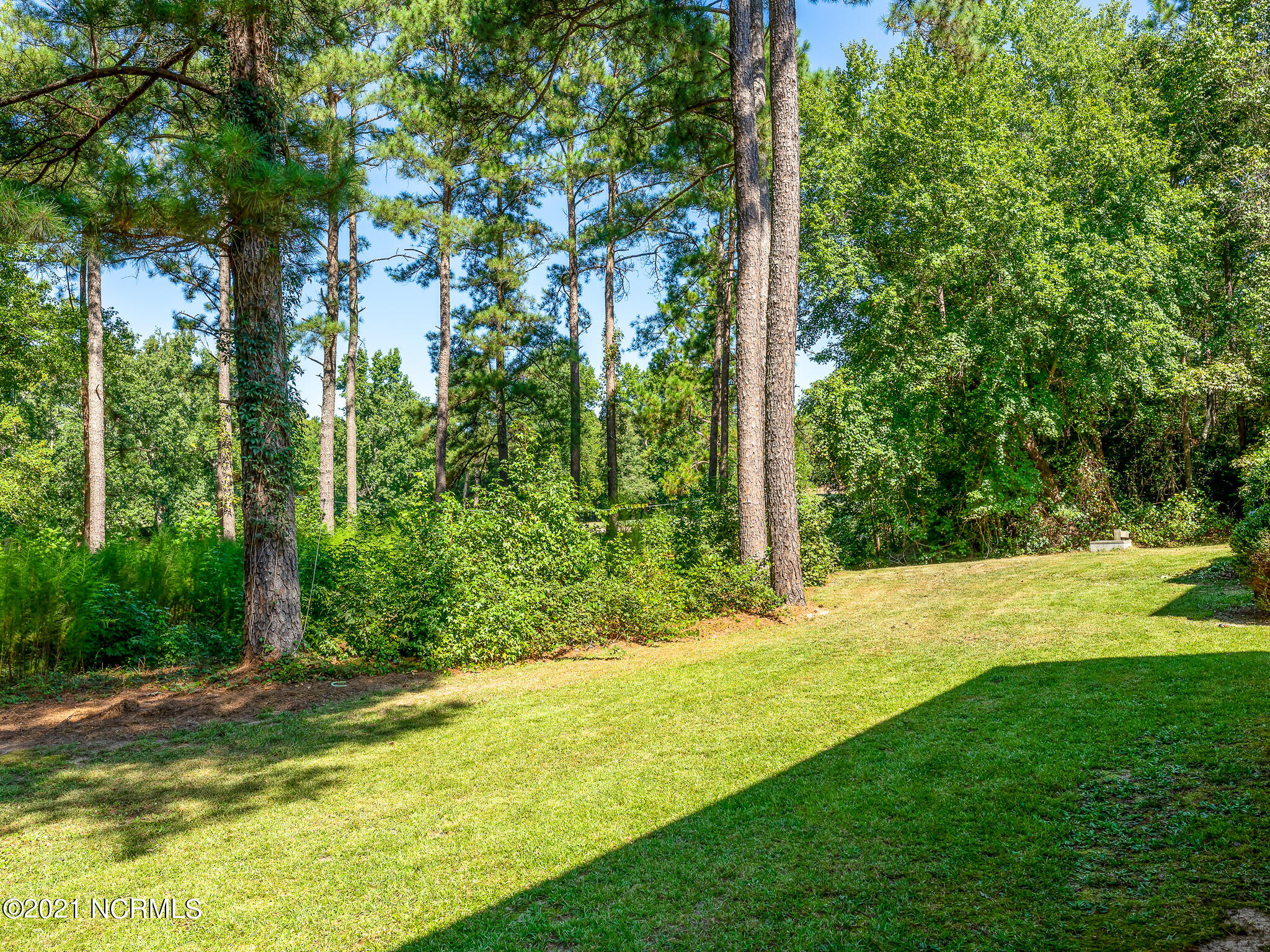 3988 Niagara Carthage Road Carthage, NC 28327 - Photo 12 of 12 outside back-6