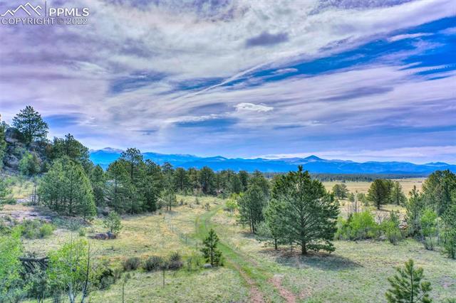 339 Chipper Road Guffey, CO 80820 - Photo 11 of 34 Gallery Image 11