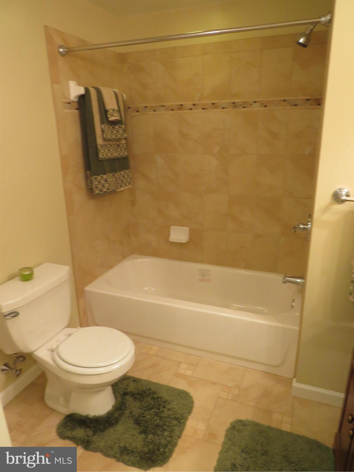 1701 Ridgely Road Edgewater, MD 21037 - Photo 12 of 22 Bath