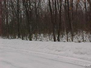 West Millhead Road Andreas, PA 18211 - Photo 1 of 1 MAIN VIEW