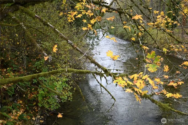 a view of a tree in a yard