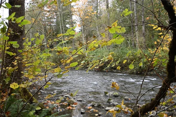 a backyard of a house