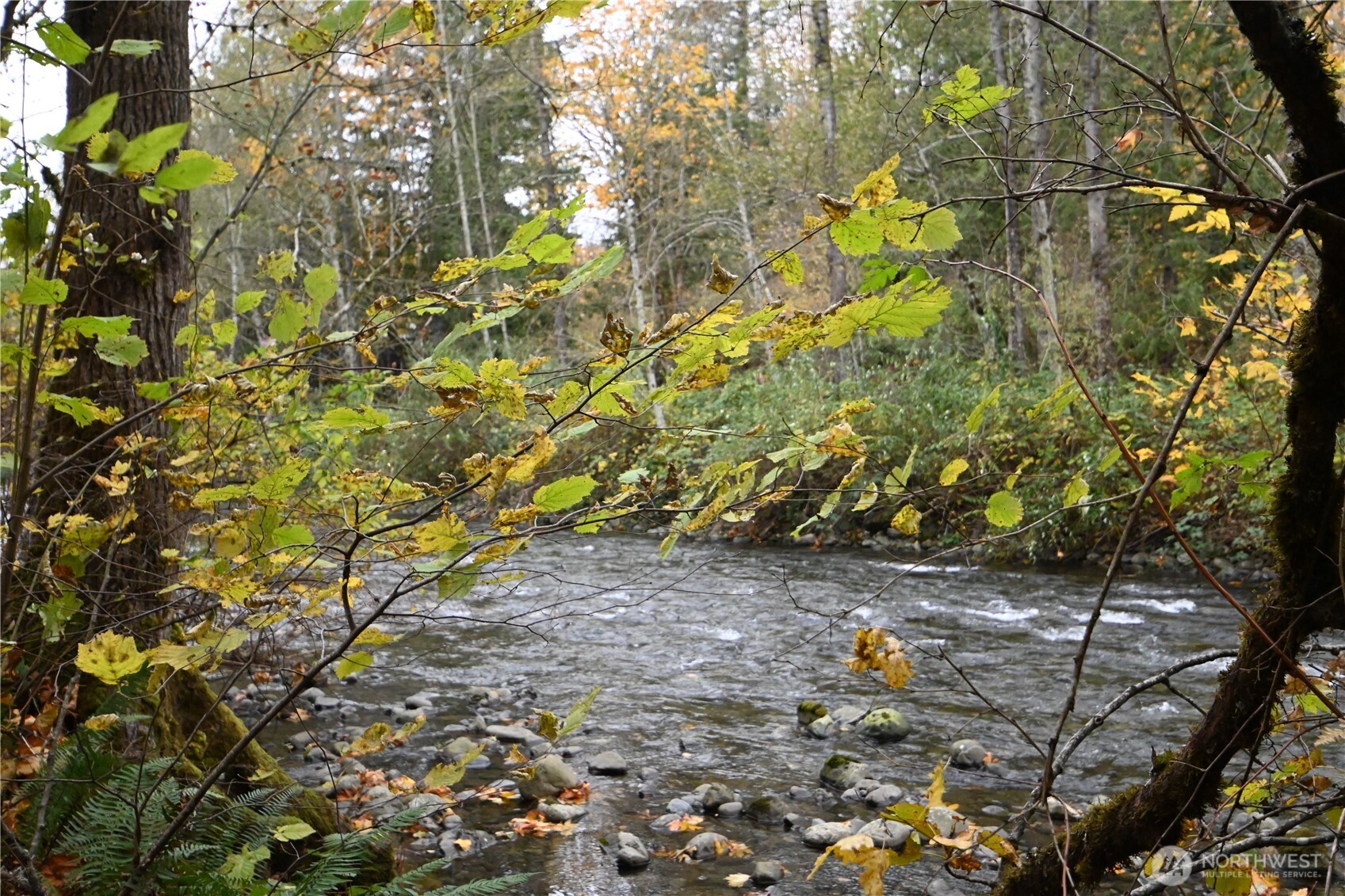 0 Ley Road Gold Bar, WA 98251 - Photo 4 of 15 a backyard of a house