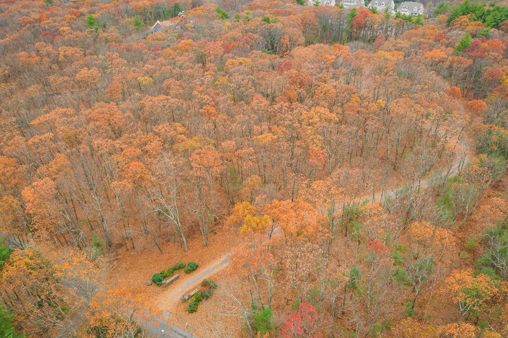 Lot 1 West Berlin Road Bolton, MA 01740 - Photo 3 of 3 Gallery Image 3