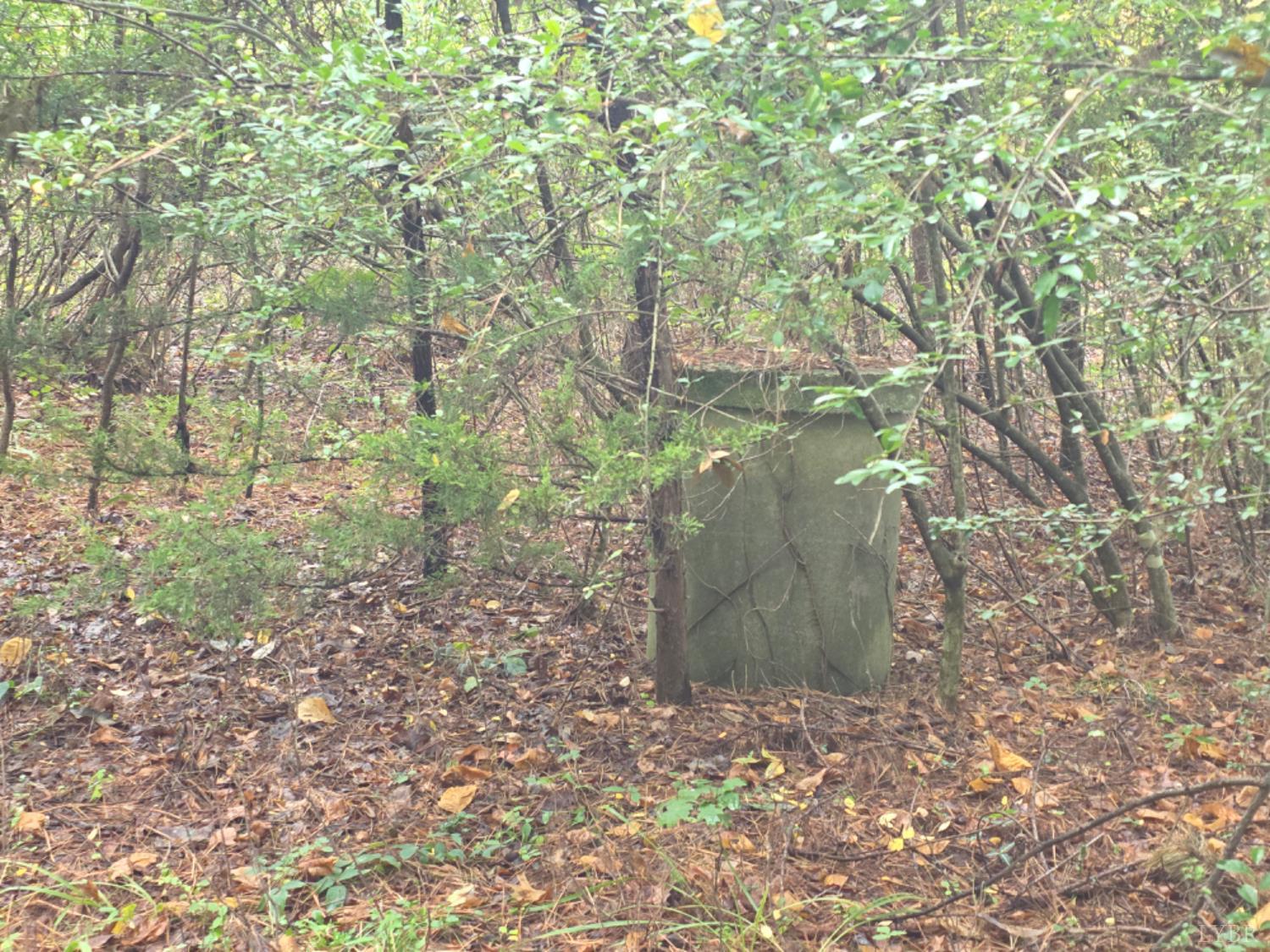 421 Morning Star Road Appomattox, VA 24522 - Photo 3 of 22 a view of a forest