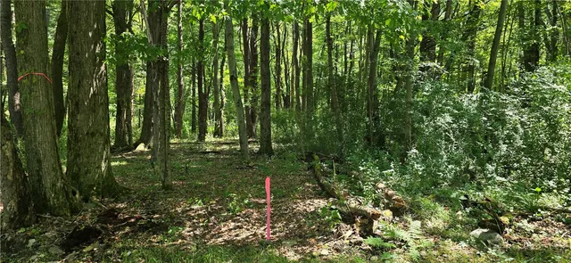 $120,000 | 179 Bennett Road, Pine City, NY 14871