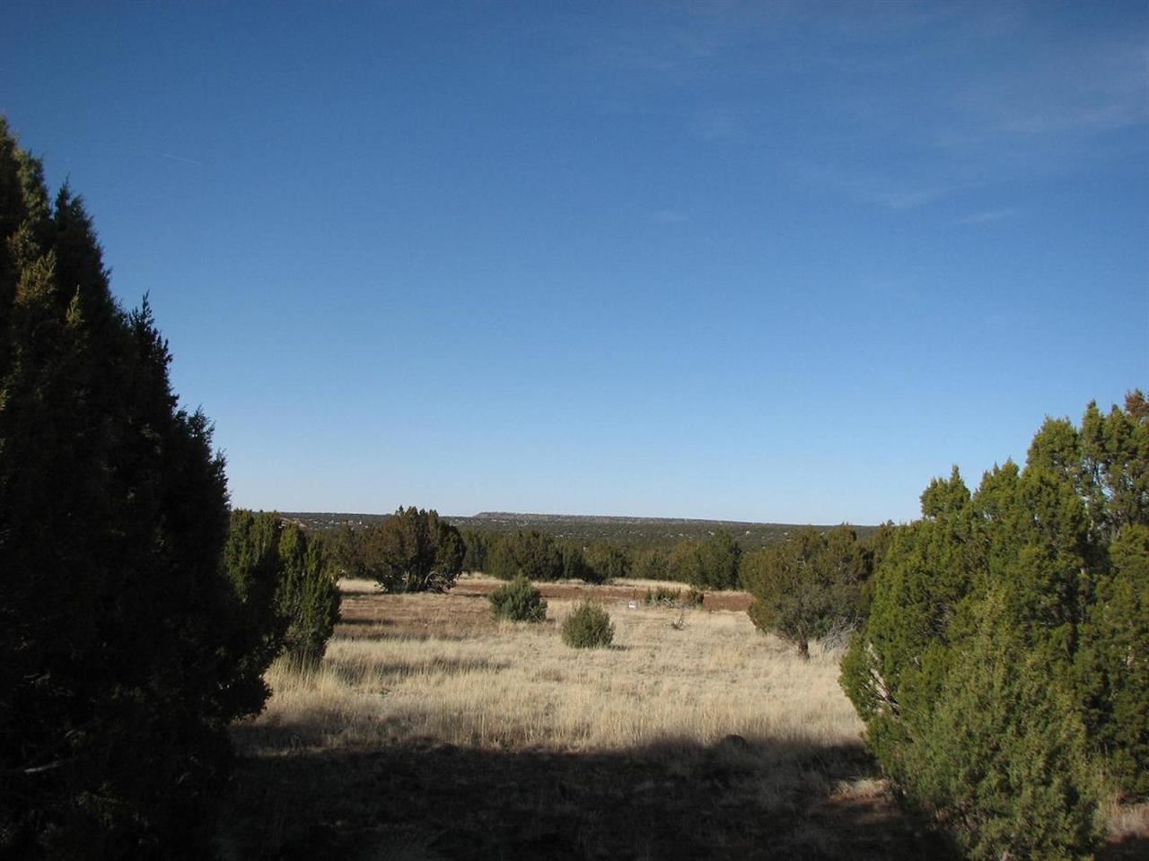 8182 East Well Road Show Low, AZ 85901 - Photo 5 of 8