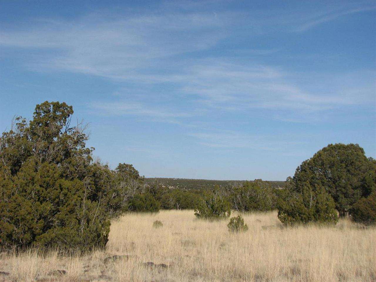 8182 East Well Road Show Low, AZ 85901 - Photo 6 of 8