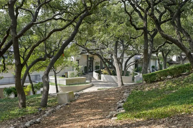 a view of a yard with trees