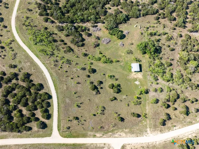 a view of a painting of a shower curtain
